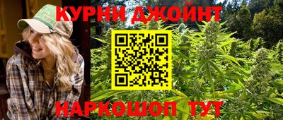эйфоретик Малгобек
