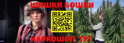 гашик Лесосибирск