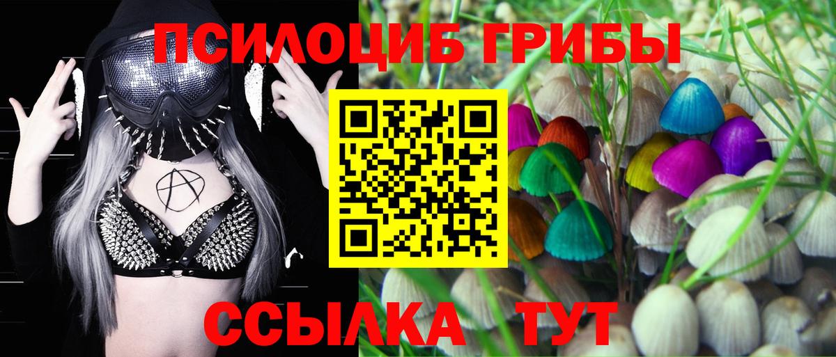 Галлюциногенные грибы мицелий  Галлюциногенные грибы ЛСД  Жуковский  Вход с VPN 