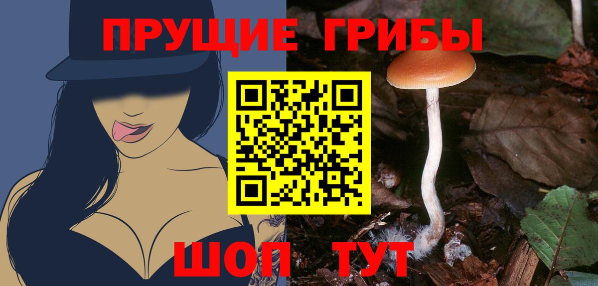 Псилоцибиновые грибы Magic Shrooms Жуковский